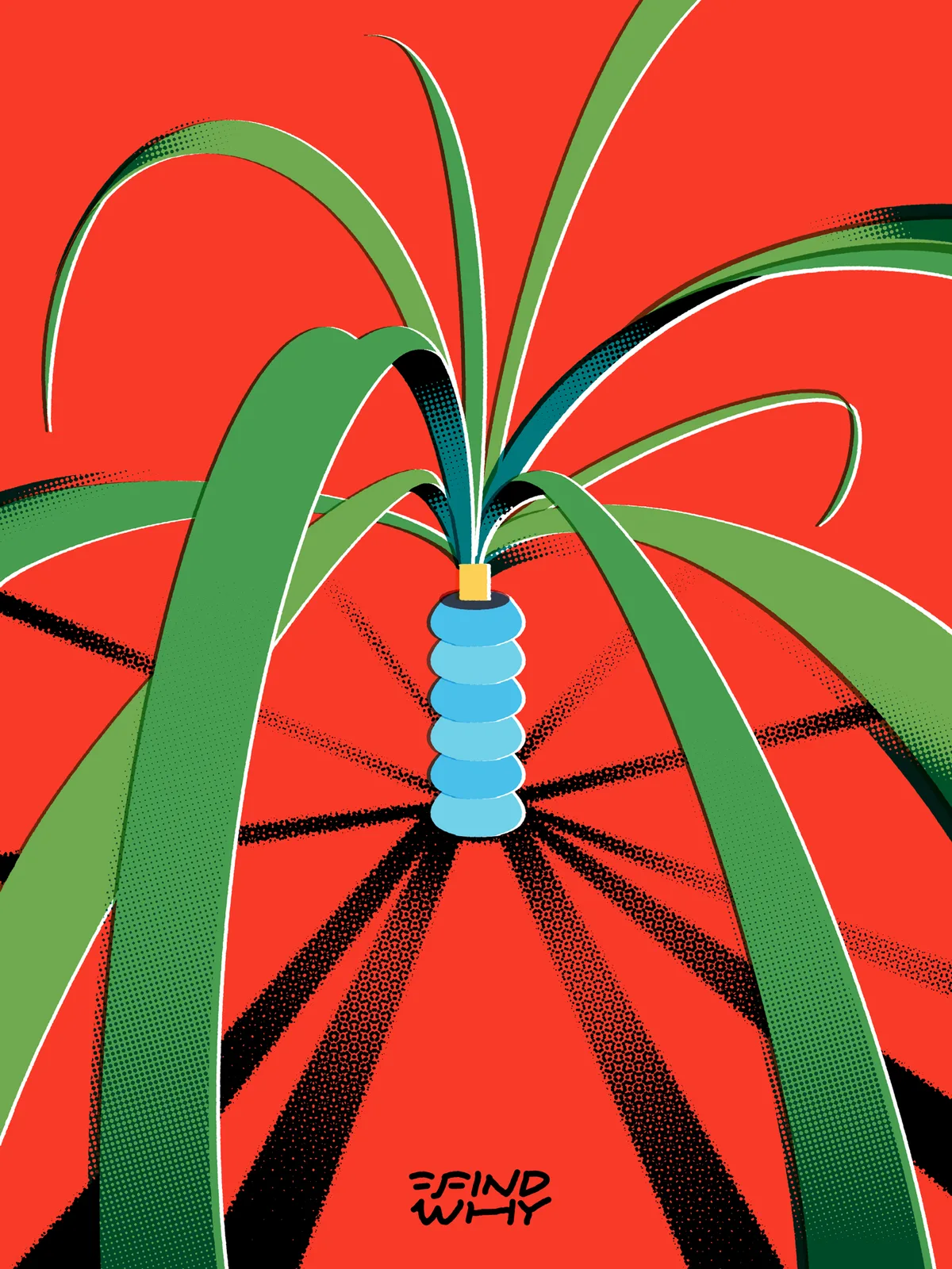 Findwhy illustration 8
