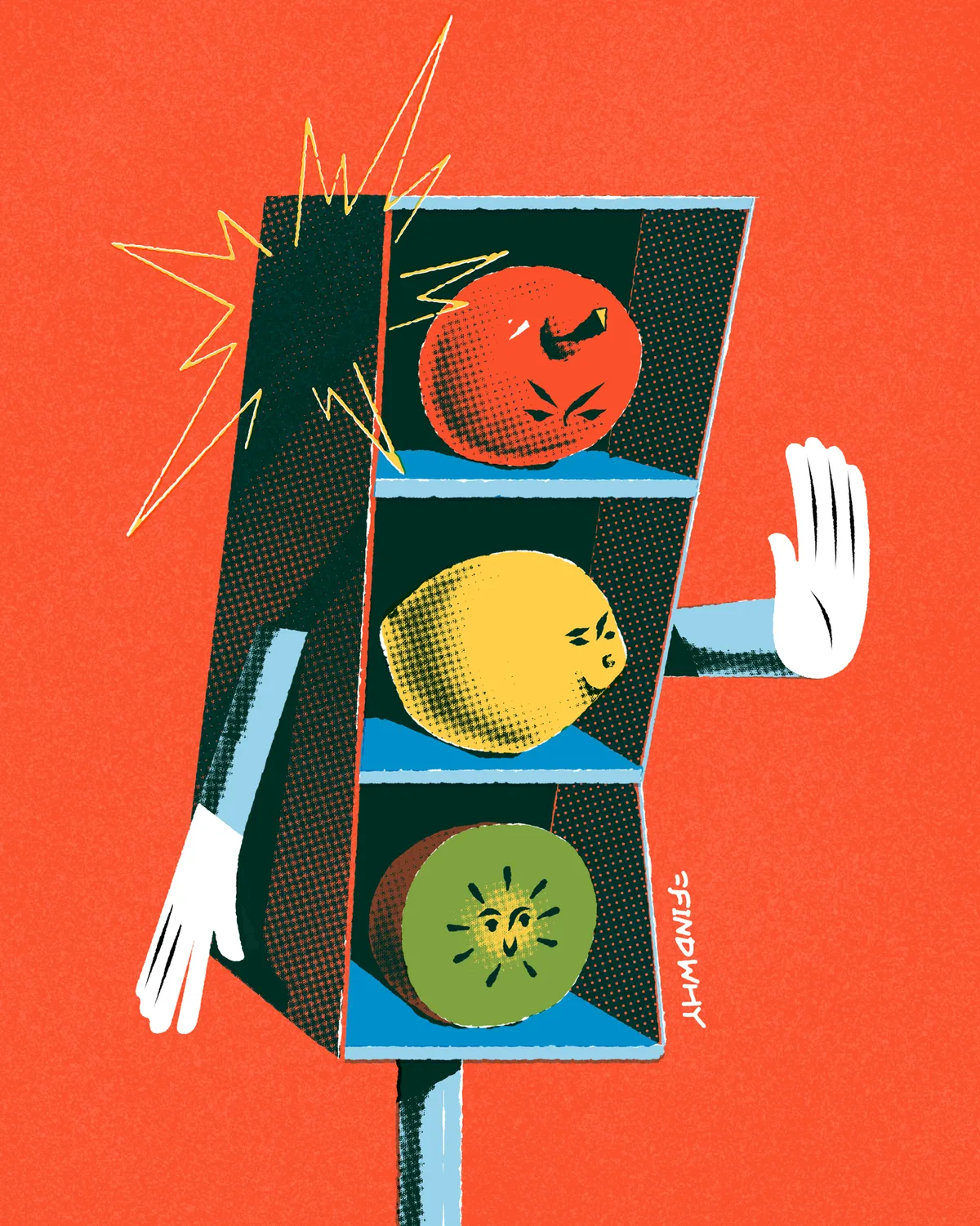 Findwhy illustration 8